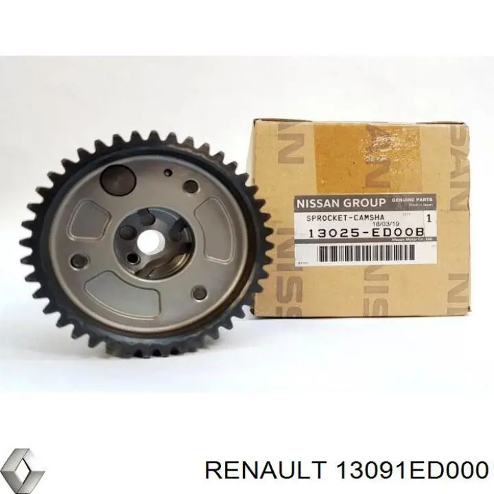 Compre 13091ED000 Nissan/Infiniti Sapato de reguladora de tensão da cadeia do mecanismo de distribuição de gás