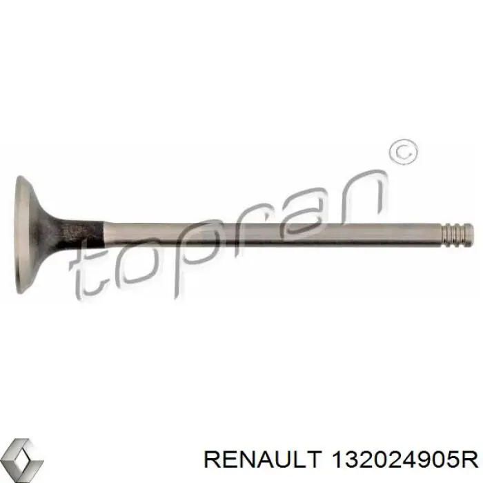 132024905R Renault (RVI) Válvula de escape