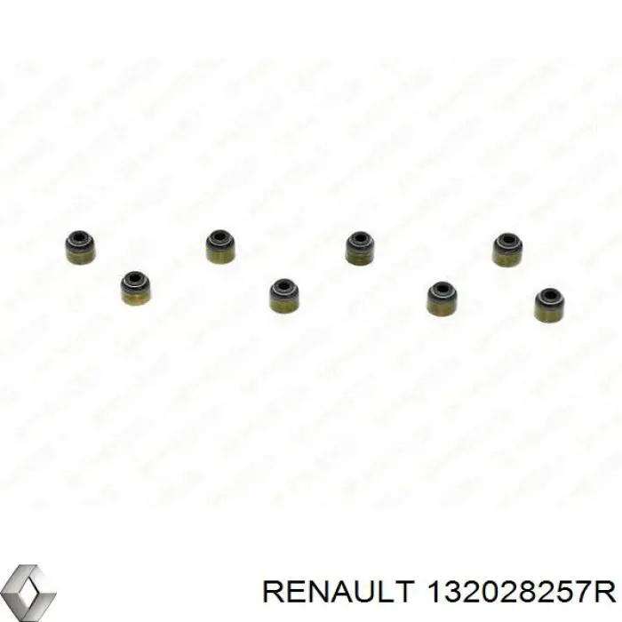 132028257R Renault (RVI) Válvula de escape