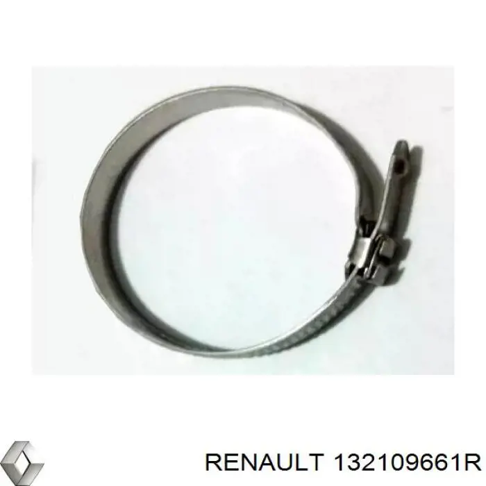 Compre 132109661R Renault (RVI) 
