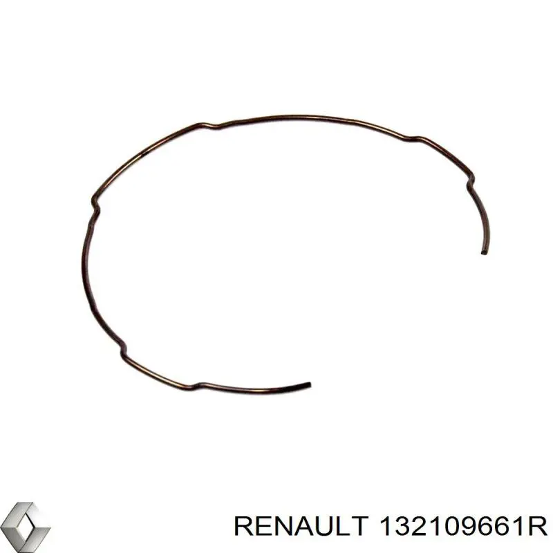  132109661R Renault (RVI)
