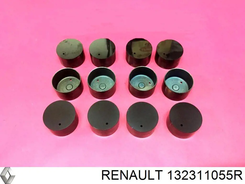 Compensador hidrâulico (empurrador hidrâulico), empurrador de válvulas Renault (RVI) 132311055R preço, a partir de 20,72 USD