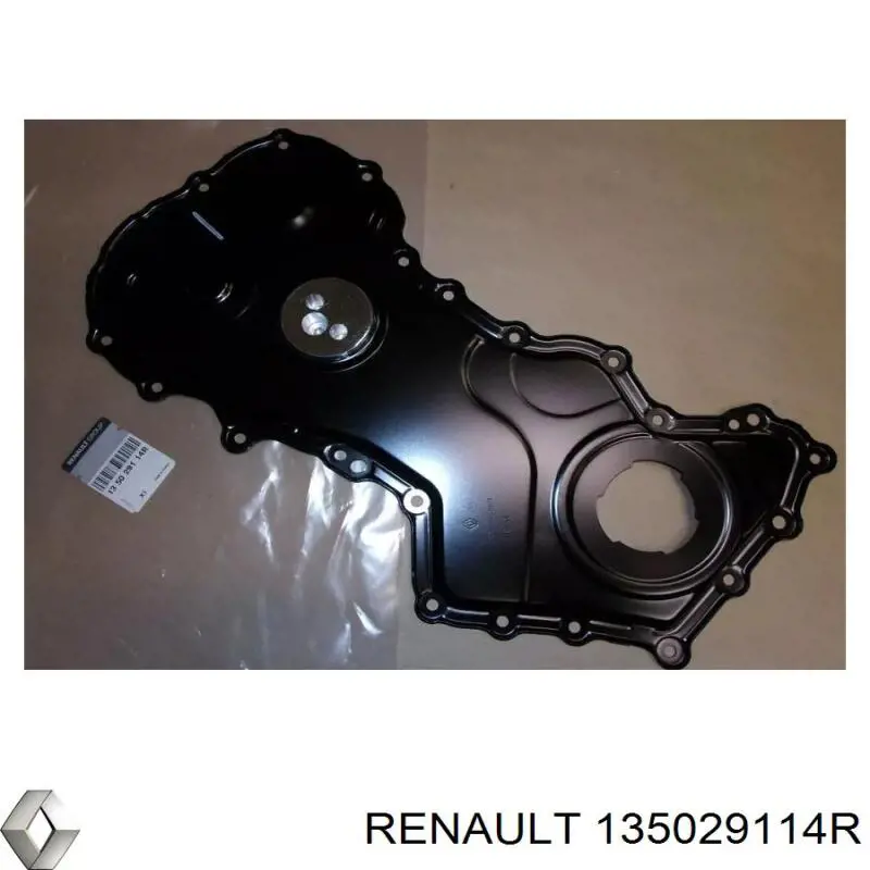 135029114R Renault (RVI) 