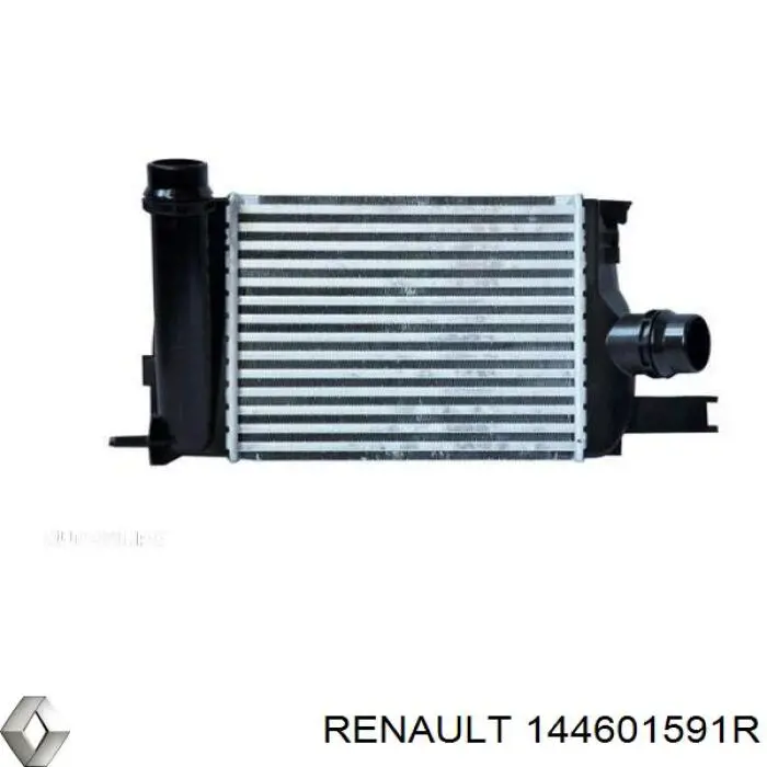 144601591R Renault (RVI) Mangueira (cano derivado) de intercooler