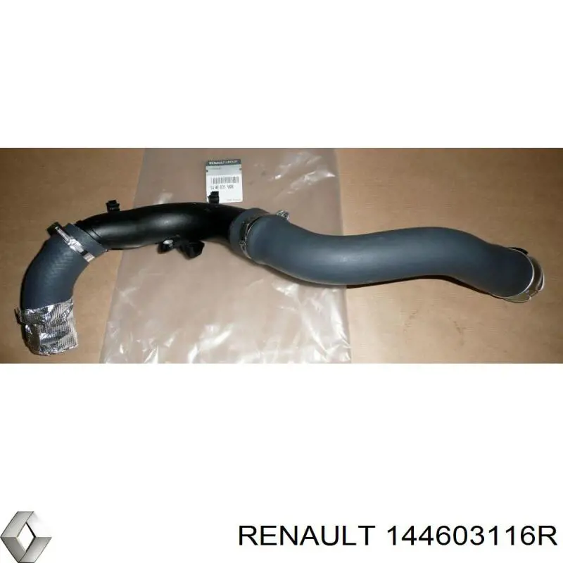 144603116R Renault (RVI) Mangueira (cano derivado) de intercooler