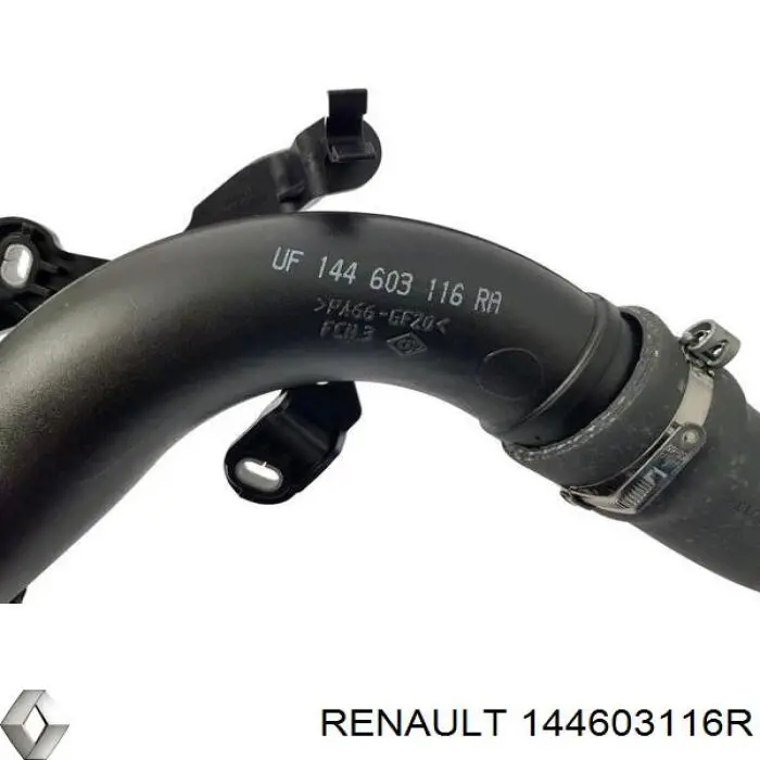 Compre 144603116R Renault (RVI) Mangueira (cano derivado) de intercooler