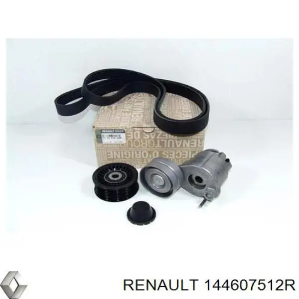 Compre 144607512R Renault (RVI) Mangueira (cano derivado) de intercooler