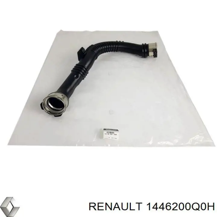 1446200Q0H Renault (RVI) Mangueira (cano derivado) de intercooler