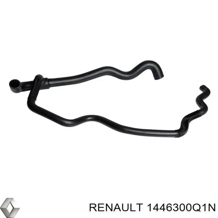 1446300Q1N Renault (RVI) Mangueira (cano derivado) de intercooler