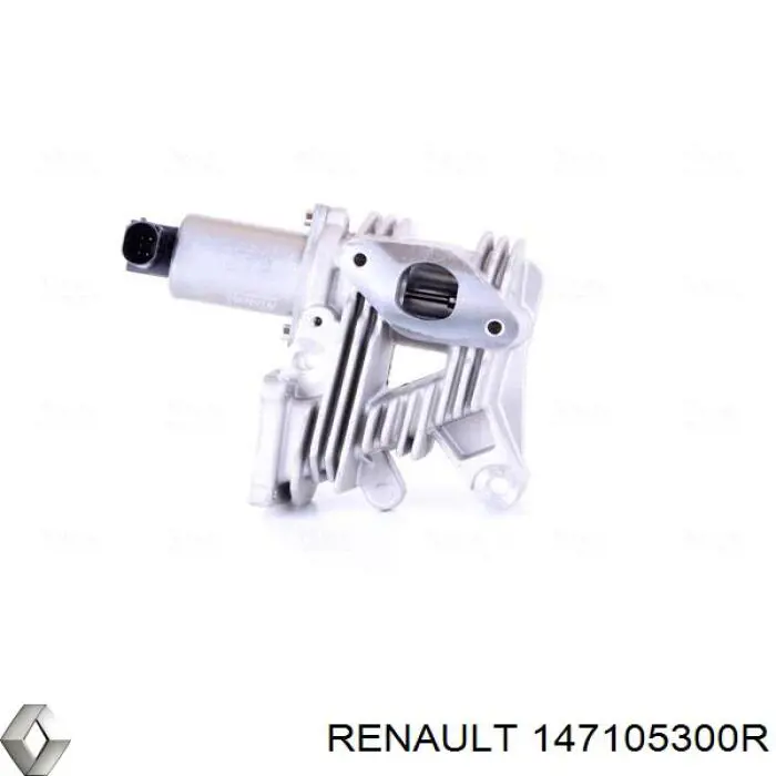 Compre 147105300R Renault (RVI) Válvula EGR de recirculação dos gases