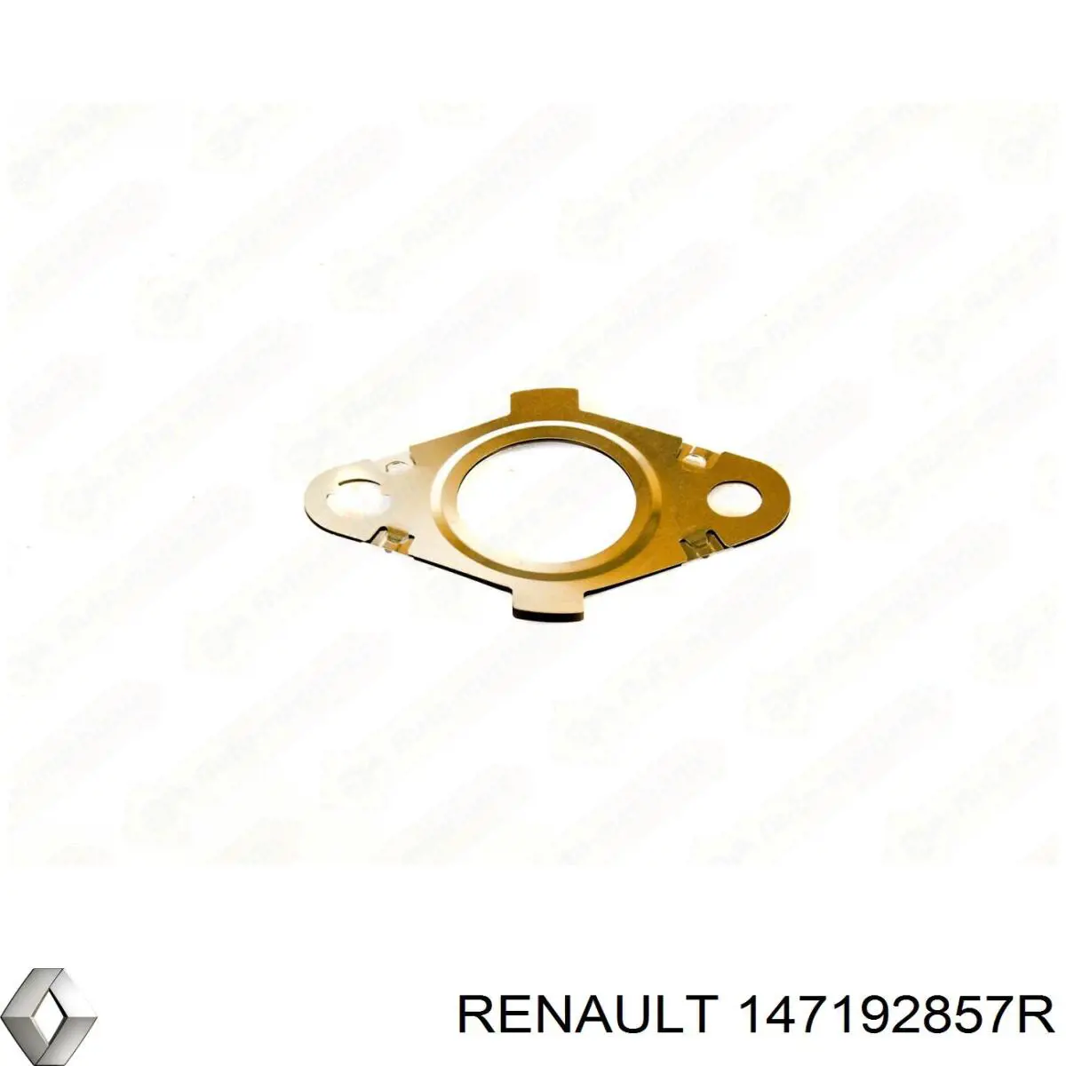 147192857R Renault (RVI) Vedante de cano derivado EGR até a cabeça de bloco (CBC)