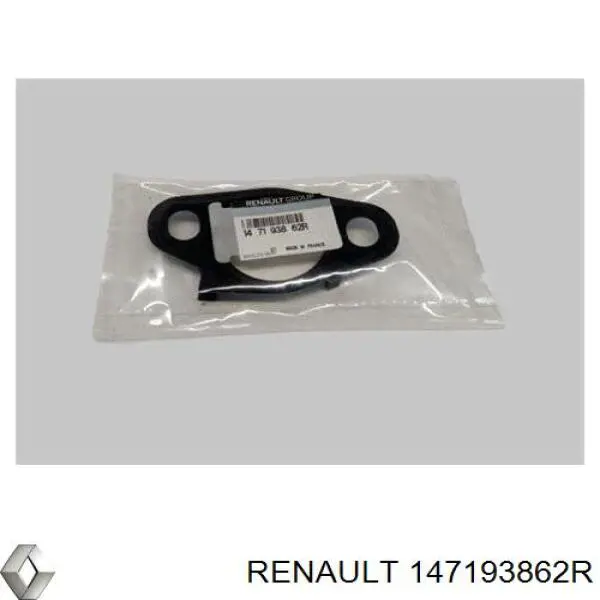 1471900Q1A Renault (RVI) Vedante de válvula EGR de recirculação
