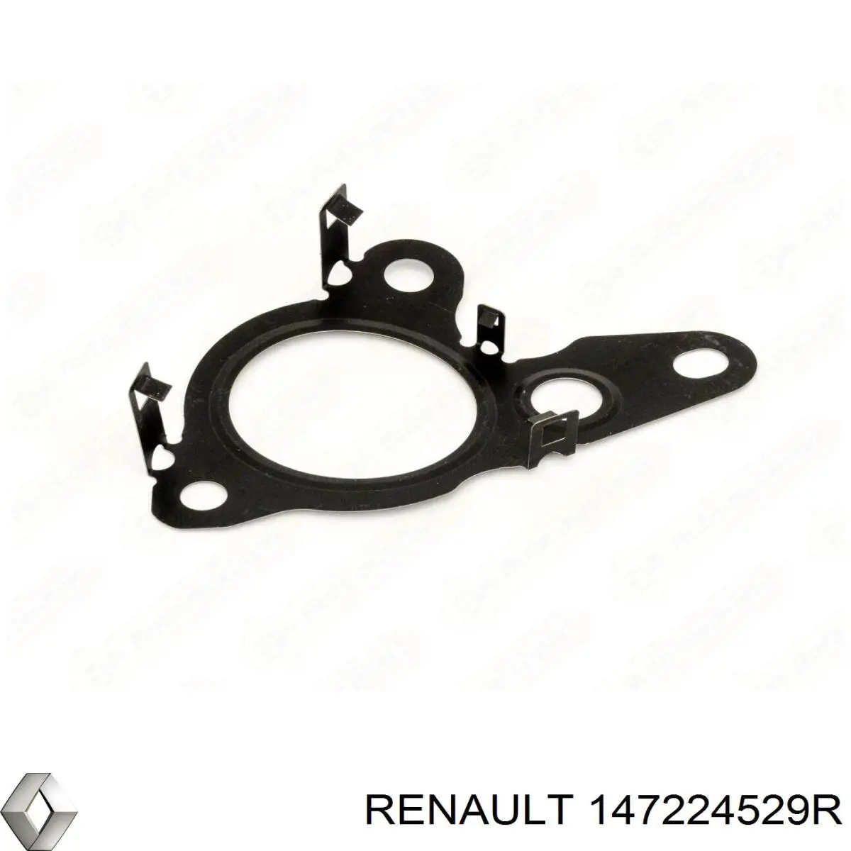 1471900Q1C Renault (RVI) Vedante de válvula EGR de recirculação