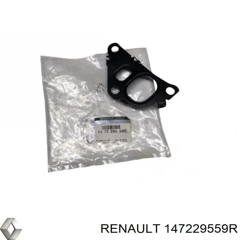 147229559R Renault (RVI) Vedante de válvula EGR de recirculação