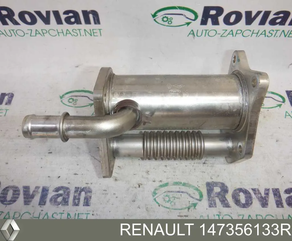 Compre 147356133R Renault (RVI) 