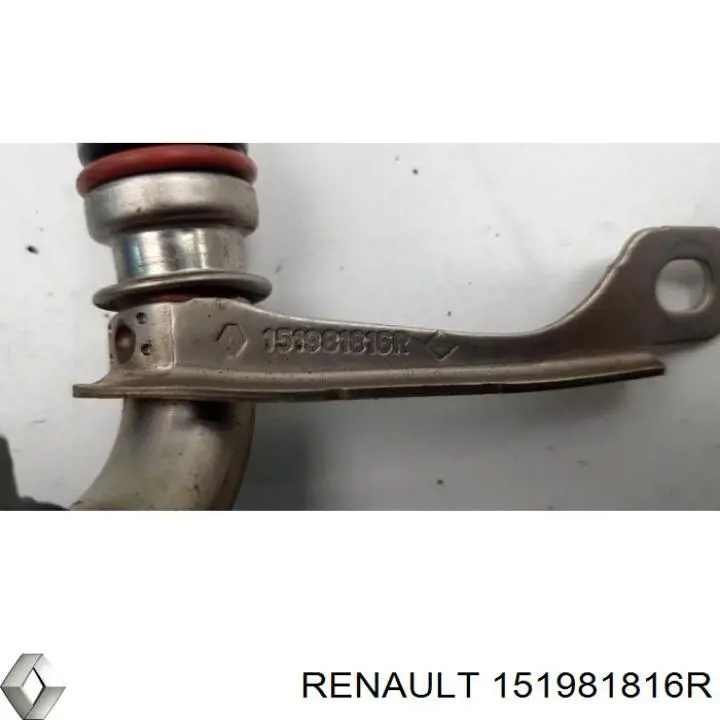 151981816R Renault (RVI) Tubo (mangueira) de derivação de óleo de turbina