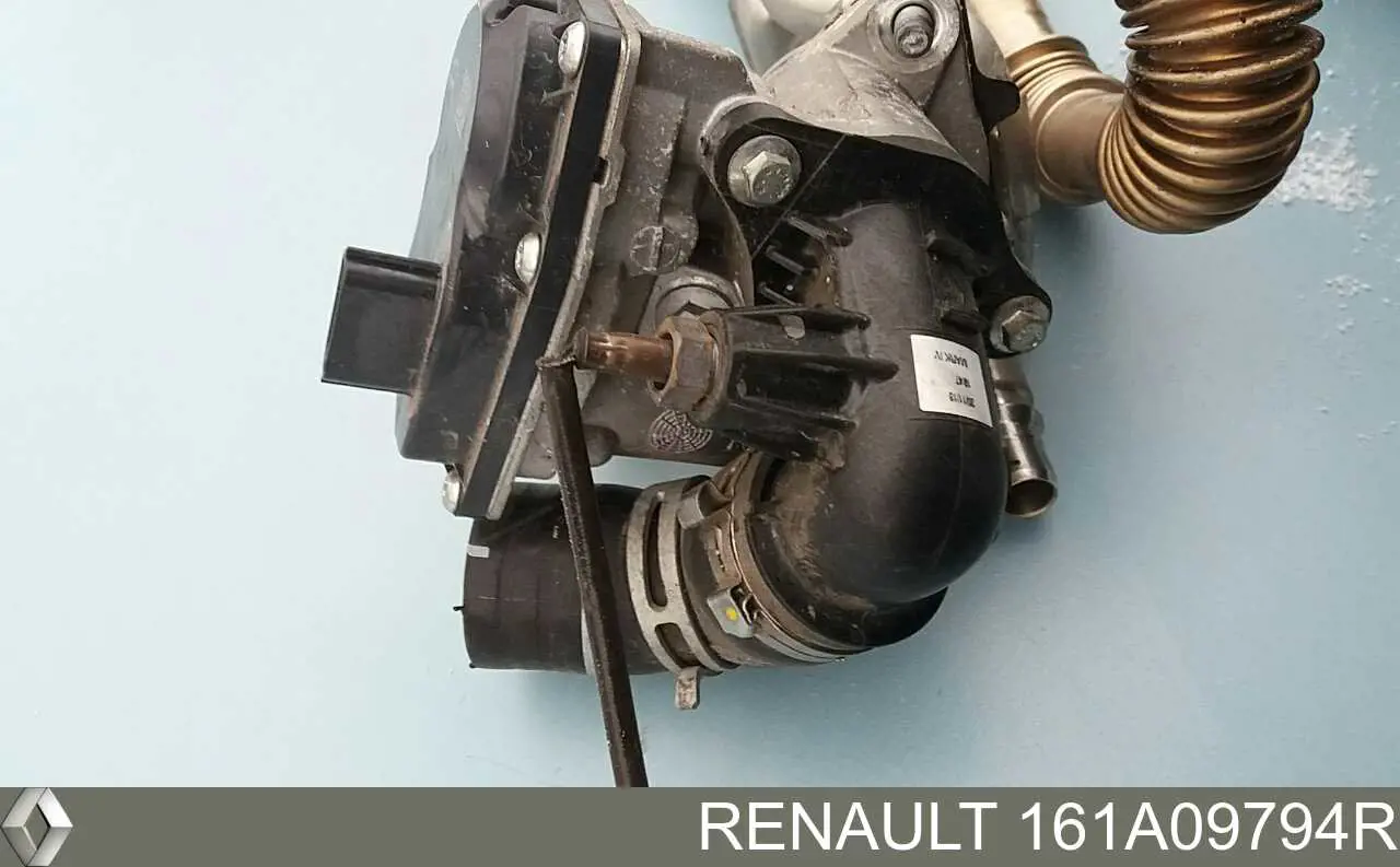 Compre 161A09794R Renault (RVI) Válvula de borboleta montada