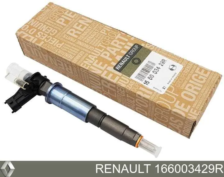 166003429R Renault (RVI) Injetor de injeção de combustível