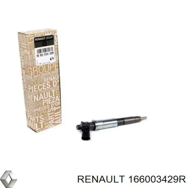 Compre 166003429R Renault (RVI) Injetor de injeção de combustível