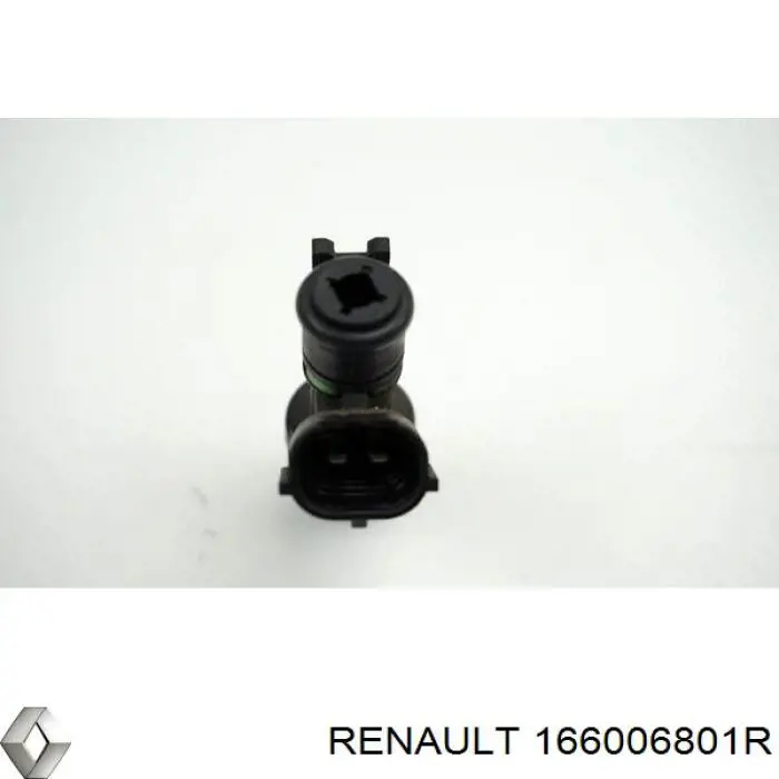 166006801R Renault (RVI) Injetor de injeção de combustível