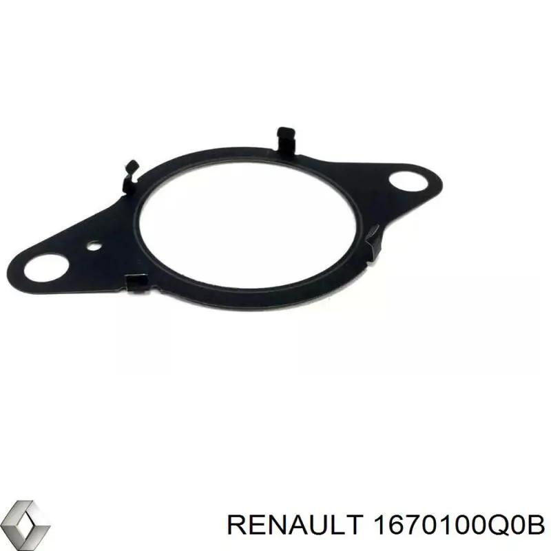 1670100Q0B Renault (RVI) Vedante da bomba de combustível da Bomba de Combustível de Pressão Alta