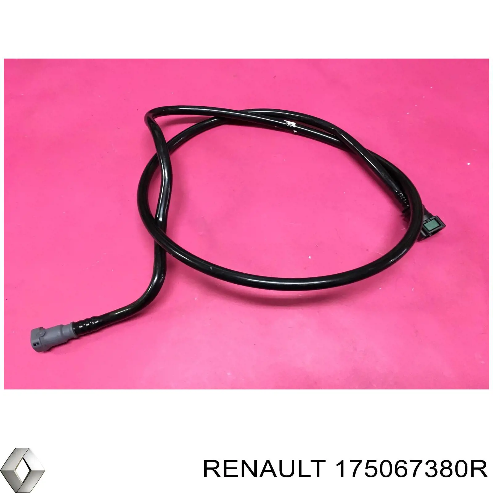 175067380R Renault (RVI) Tubo de combustível, desde o tanque até o filtro de combustível