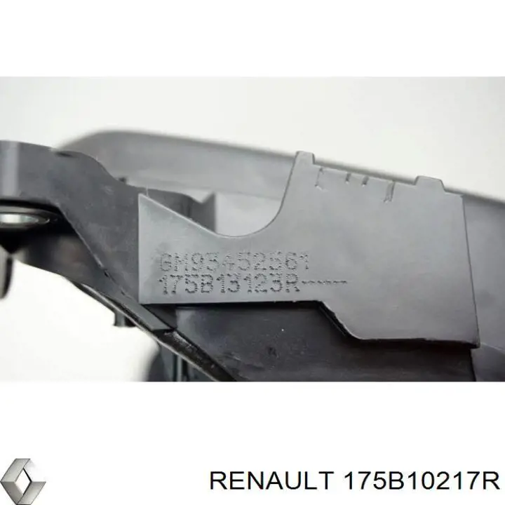 Compre 175B10217R Renault (RVI) 