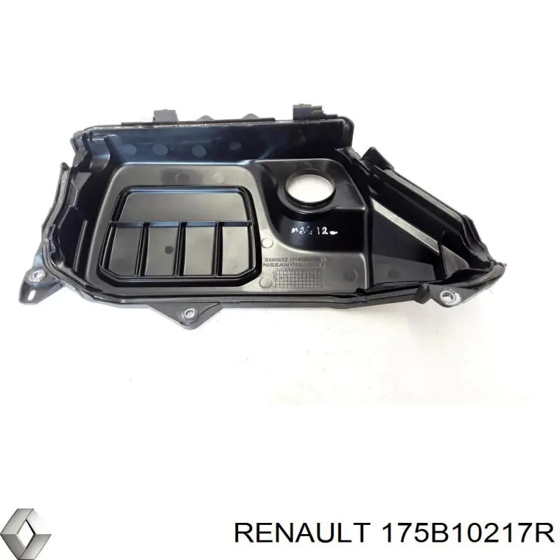 Compre 175B10217R Renault (RVI) 