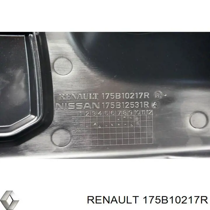  175B10217R Renault (RVI)