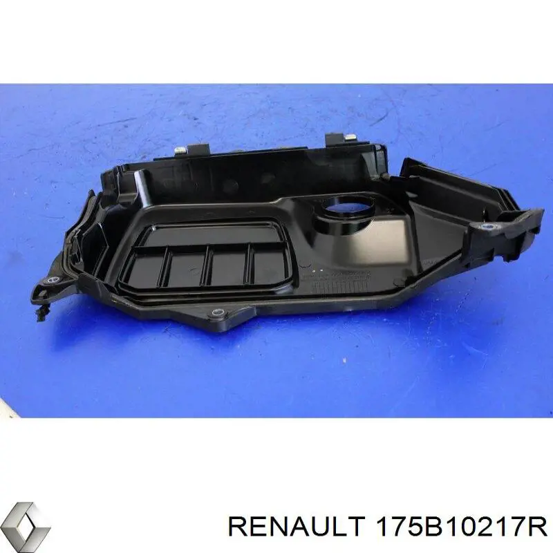  Renault (RVI) 175B10217R