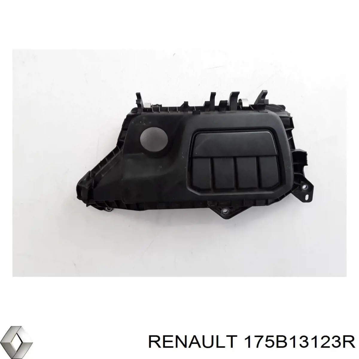 175B13123R Renault (RVI) Tampa de motor decorativa