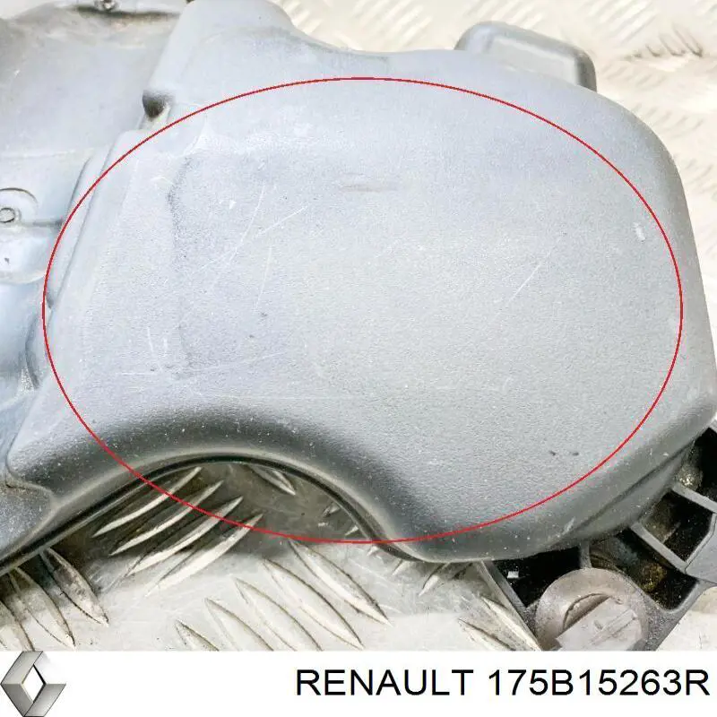 175B15263R Renault (RVI) Tampa de motor decorativa