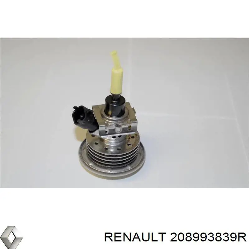 208993839R Renault (RVI) Injetor de injeção AD BLUE