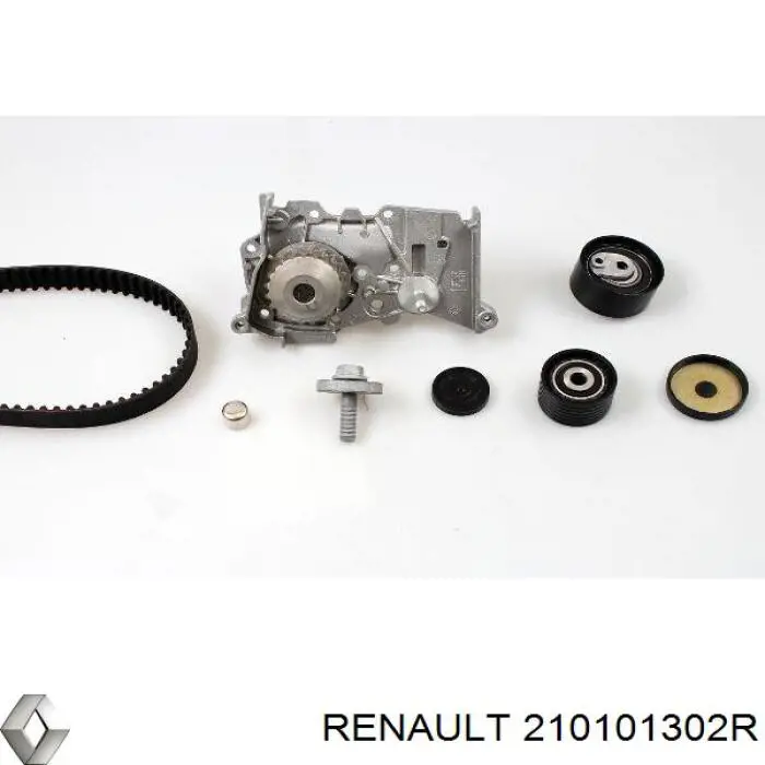 210101302R Renault (RVI) Bomba de água (bomba) de esfriamento