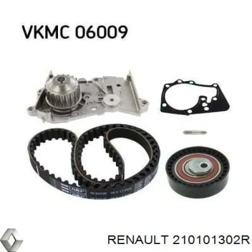 Compre 210101302R Renault (RVI) Bomba de água (bomba) de esfriamento