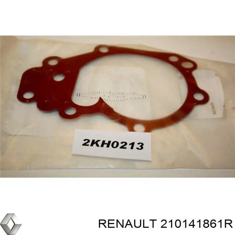 210141861R Renault (RVI) Vedante de bomba de água