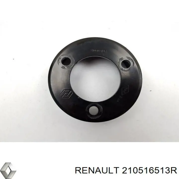 210516513R Renault (RVI) 