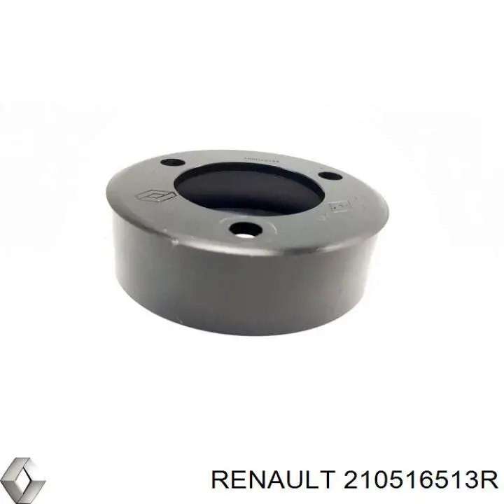  Renault (RVI) 210516513R preço, a partir de 47,71 USD