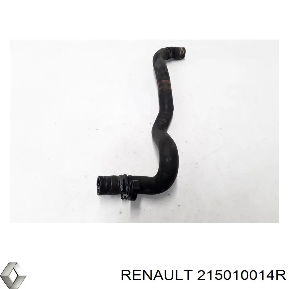 Compre 215010014R Renault (RVI) Mangueira (cano derivado) do radiador de esfriamento superior