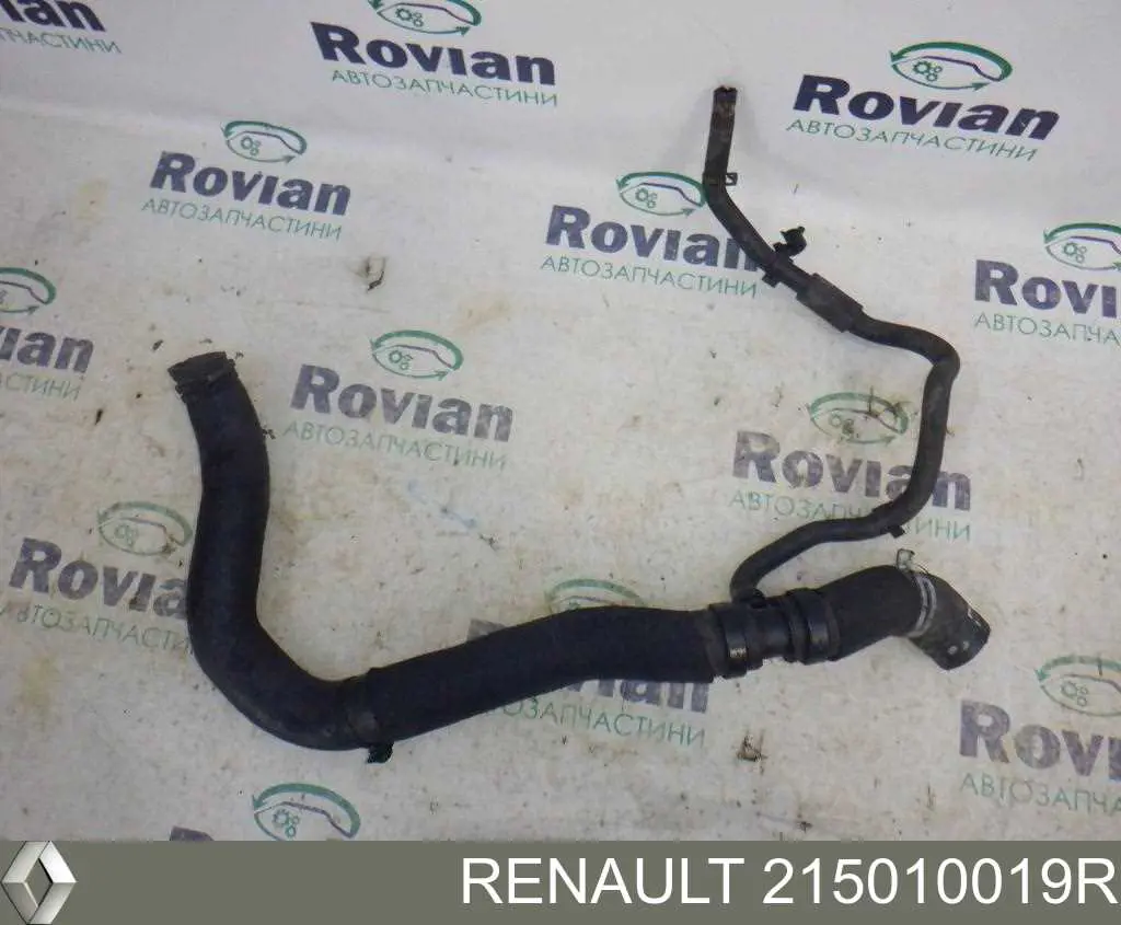 Mangueira (cano derivado) inferior do radiador de esfriamento Renault (RVI) 215010019R preço, a partir de 31,20 USD