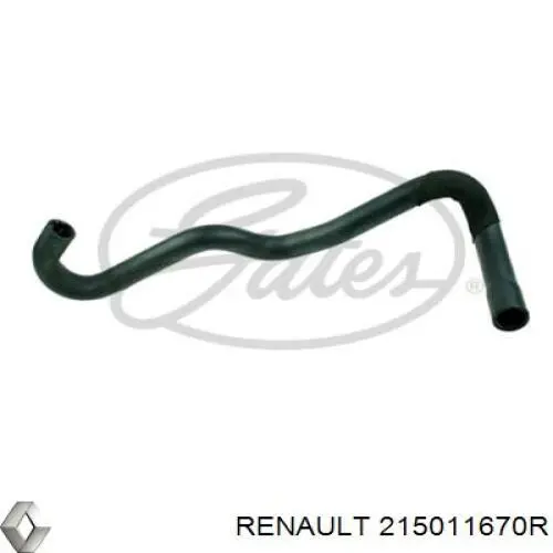 Mangueira (cano derivado) do radiador de esfriamento superior Renault (RVI) 215011670R preço, a partir de 32,53 USD