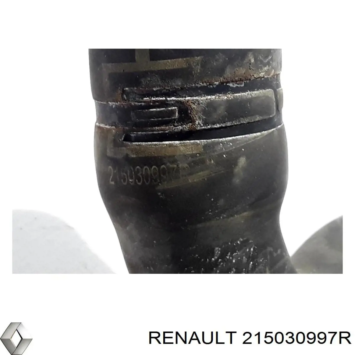 Compre 215030997R Renault (RVI) Mangueira (cano derivado) do radiador de esfriamento superior