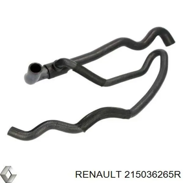 215036265R Renault (RVI) Mangueira (cano derivado) inferior do radiador de esfriamento