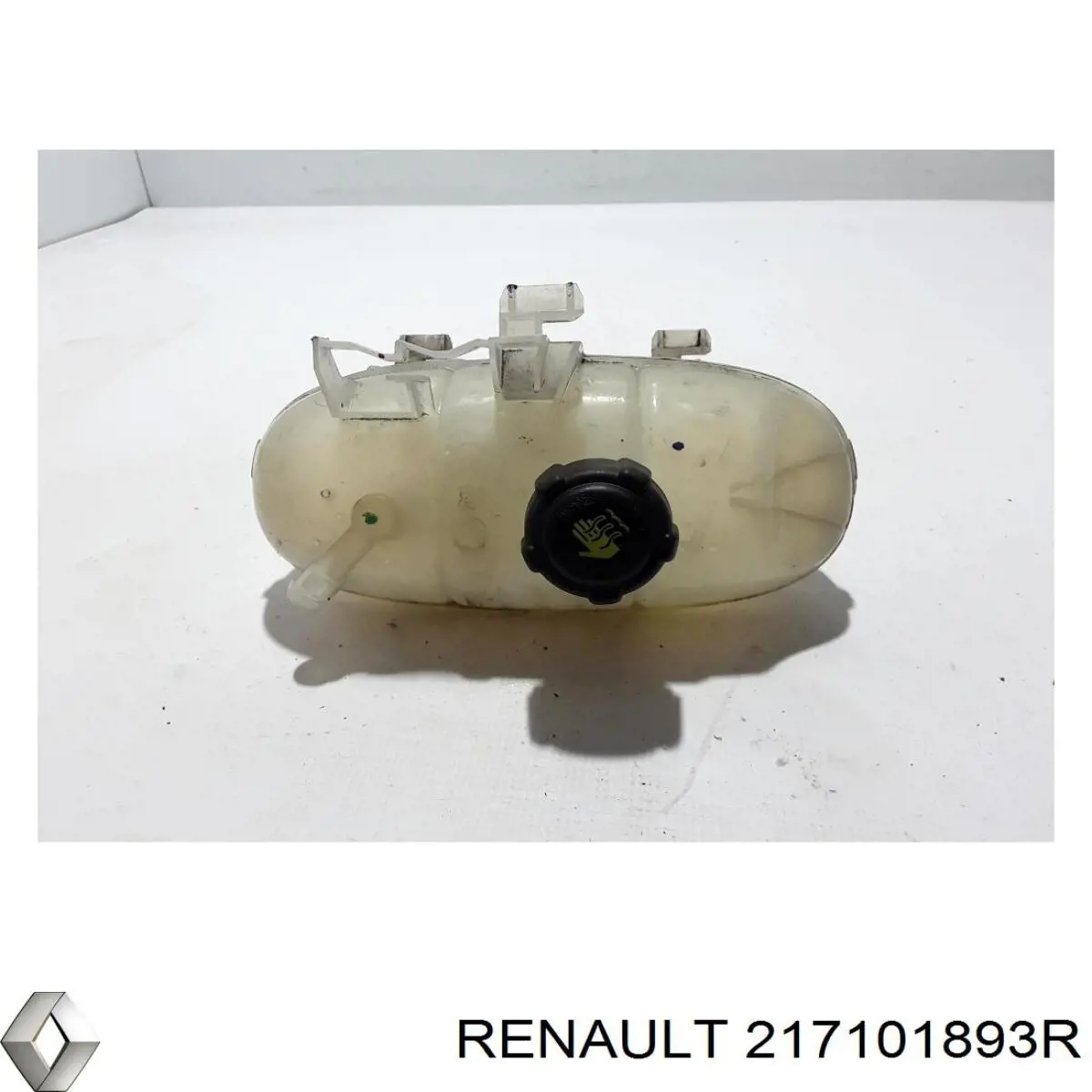 Compre 217101893R Renault (RVI) 