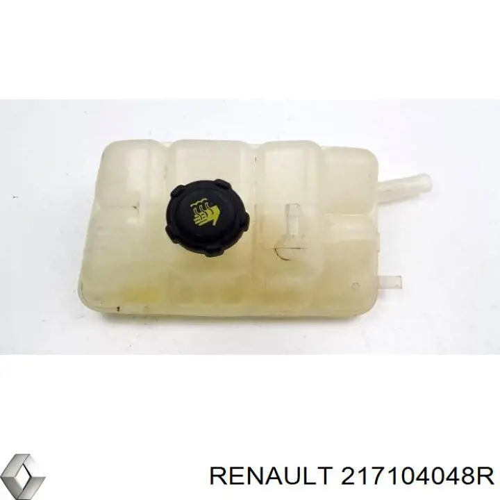  Renault (RVI) 217104048R