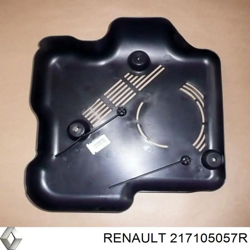 Tanque de expansão do sistema de esfriamento Renault (RVI) 217105057R