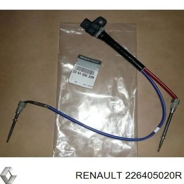 226405020R Renault (RVI) 