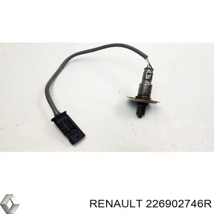 Compre 226902746R Renault (RVI) 