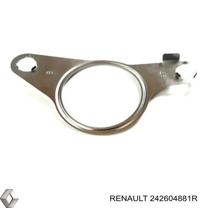242604881R Renault (RVI) Vedante de válvula EGR de recirculação