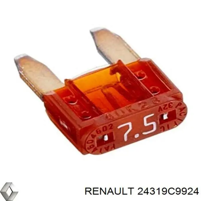 24319C9924 Renault (RVI) 